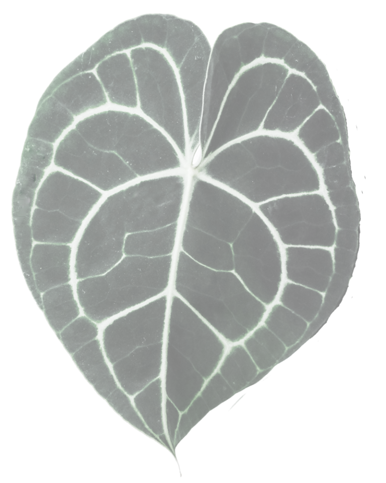 FLORAL DESIGN Southern California School of Floral Design